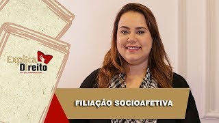 Explica Direito Filiação Socioafetiva  2019 [upl. by Eelta]